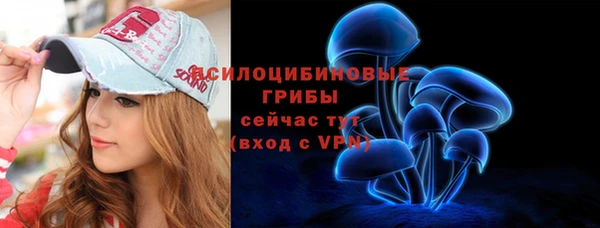 хмурый Инсар