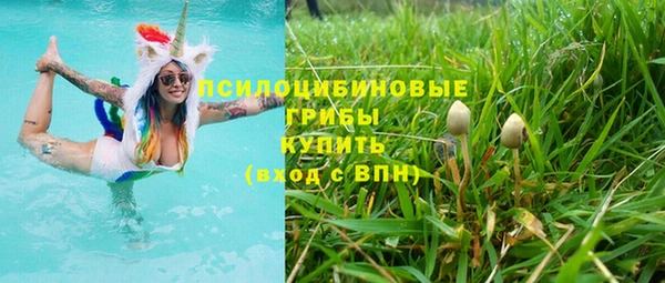 хмурый Инсар