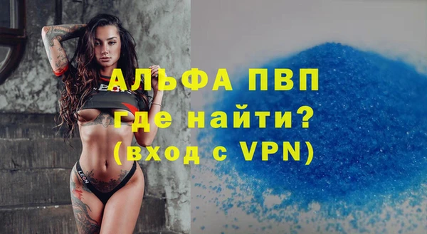 амф Касимов