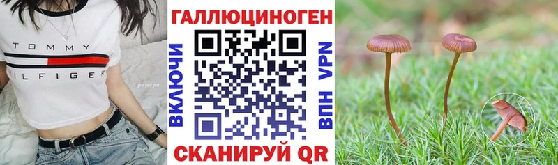 Галлюциногенные грибы ЛСД hydra рабочий сайт Кириши