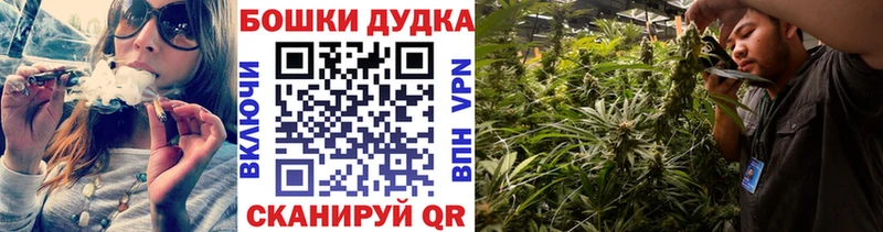 Бошки марихуана THC 21% Кириши